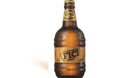 Efes Fici