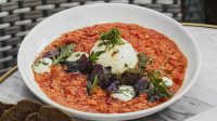 Pomidor Yumurta Burrata Pendiri ilə 🅽🅴🆆